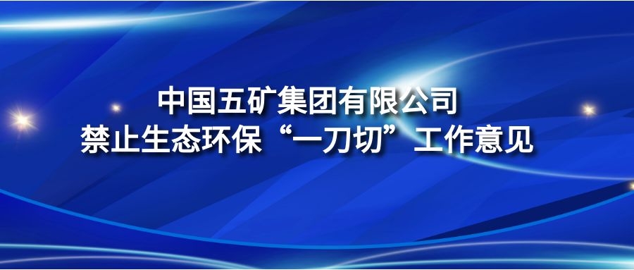 《中國(guó)五礦集團(tuán)有限公司禁止生態(tài)環(huán)?！耙坏肚小惫ぷ饕庖?jiàn)》
